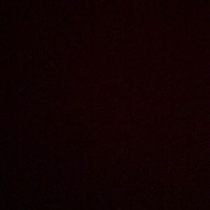 Meet your Posher, Samuel